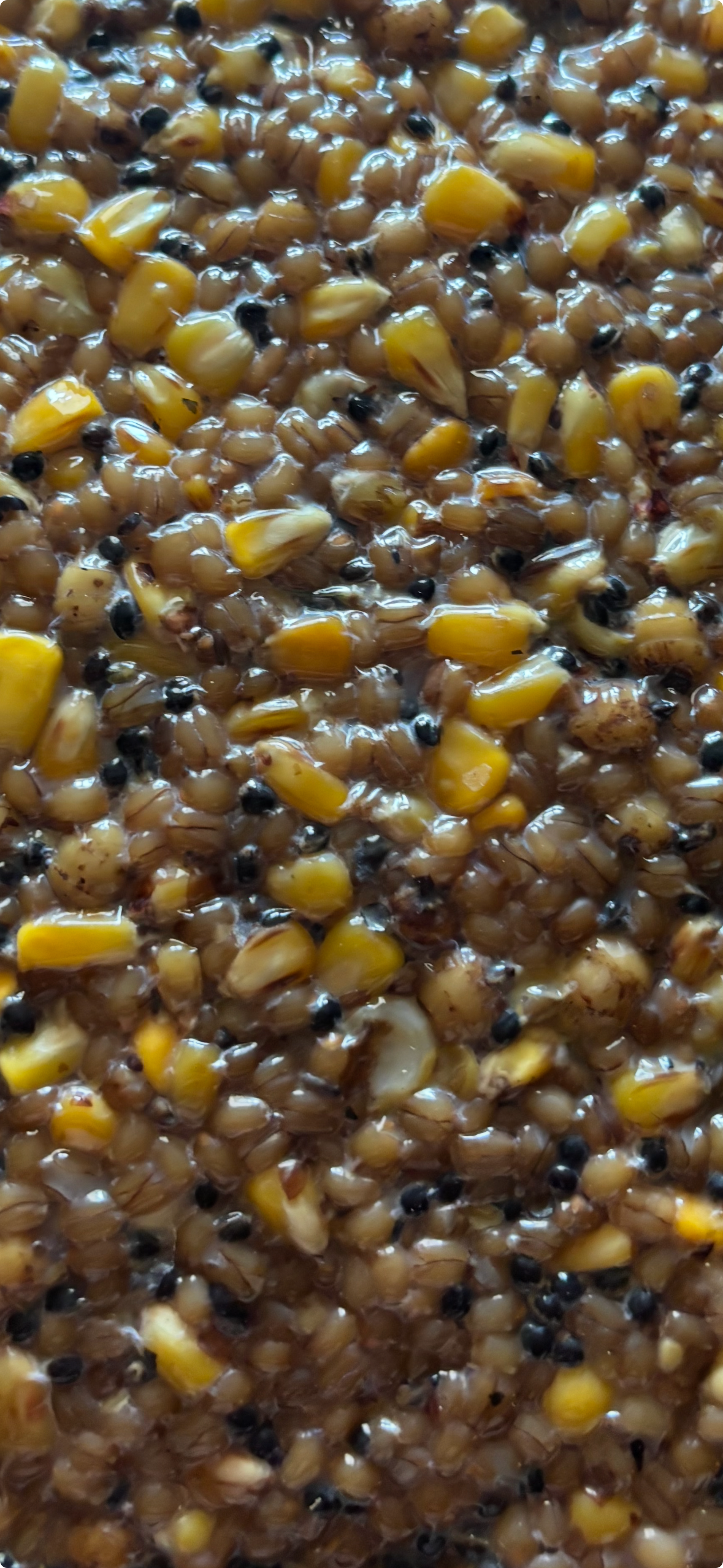 Mix Classic – Prêt à pêcher