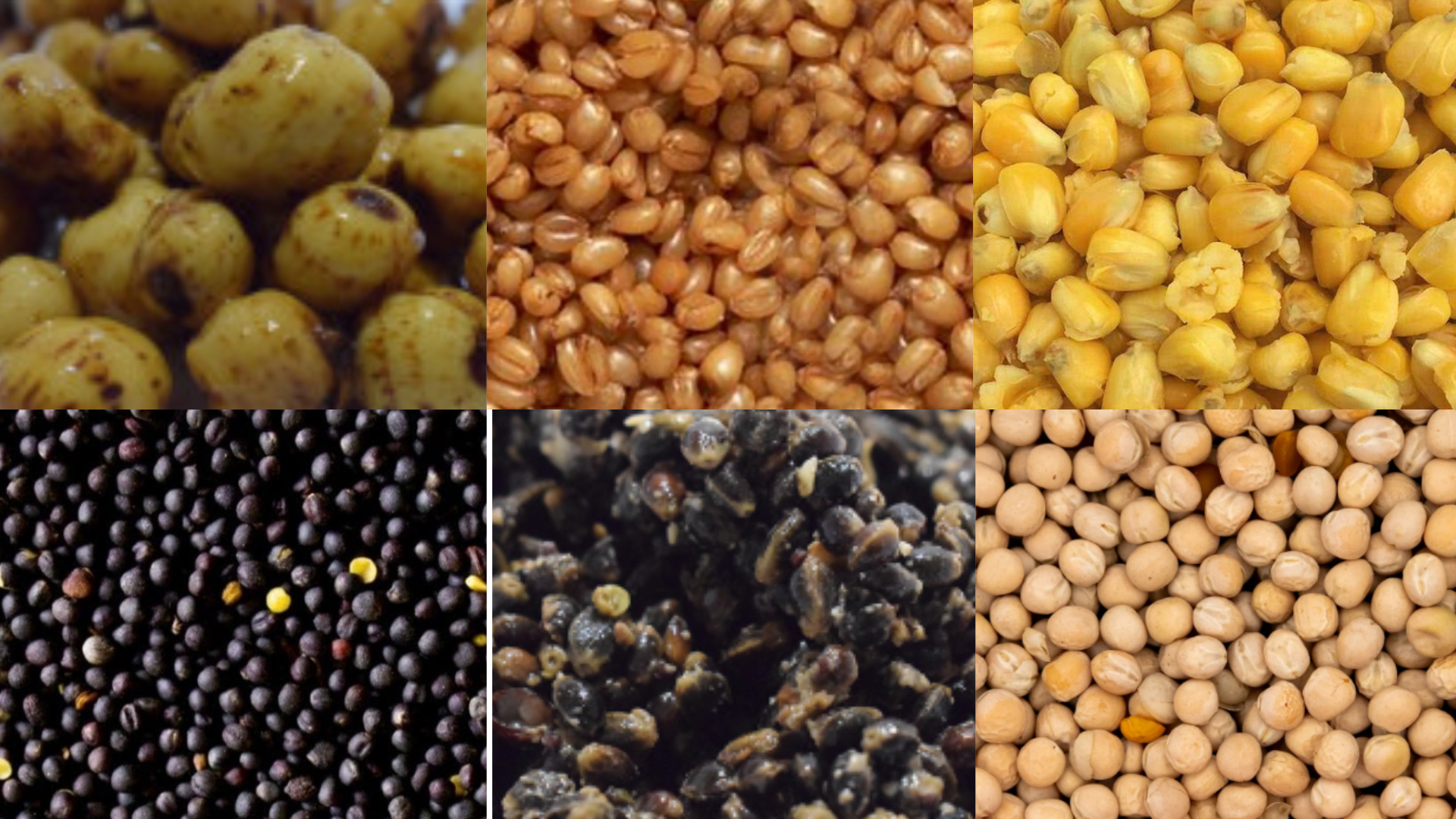 Commande sur mesure – Votre mix personnalisé