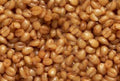 Blé – Graine cuite prête à pêcher