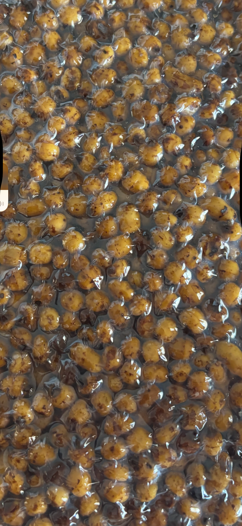 Tiger Nuts – Graine cuite prête à pêcher